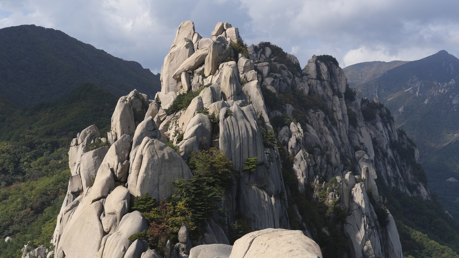 rocks